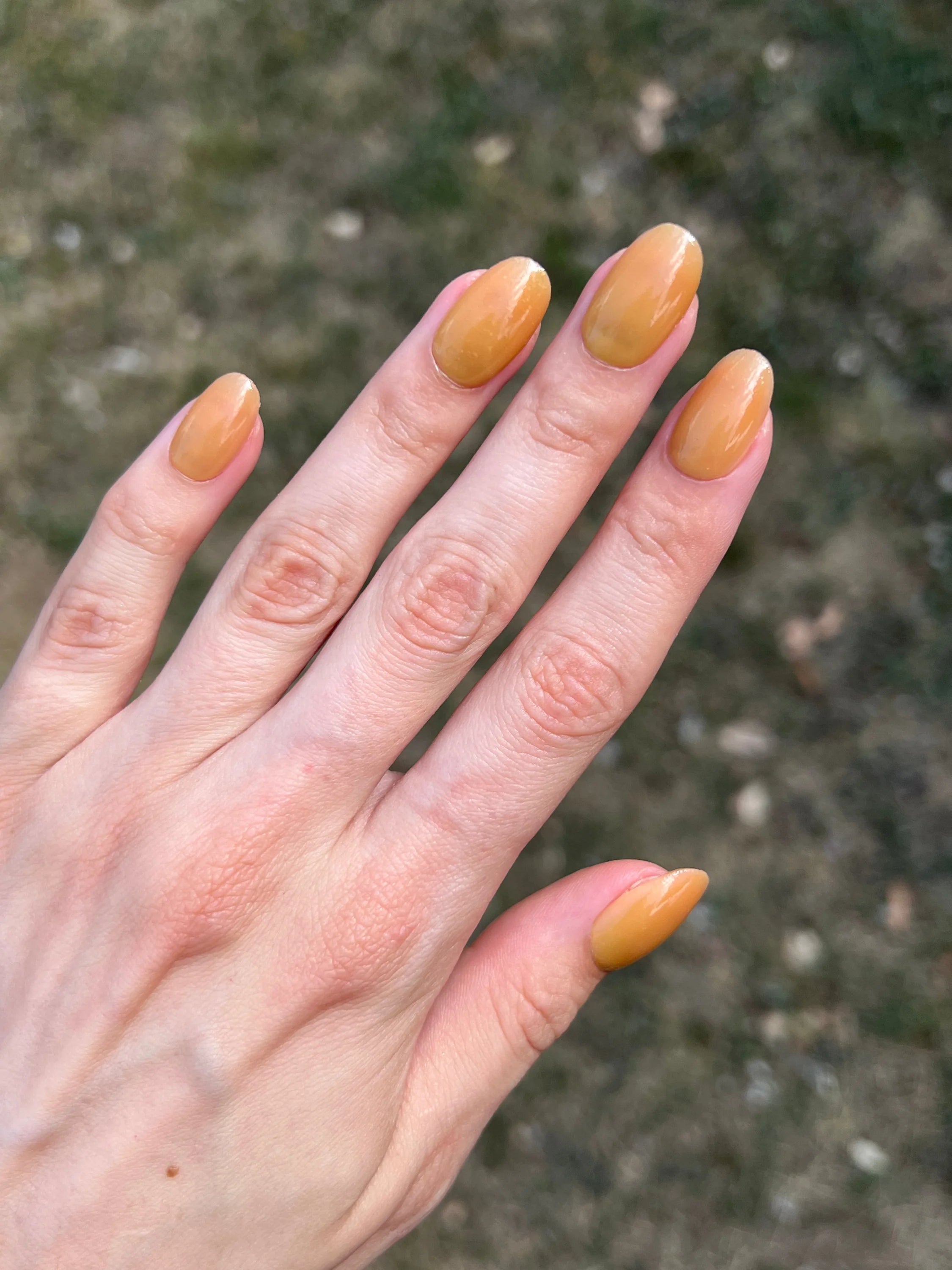 Limited Edition 7 - Changing Leaves Dipping Powder